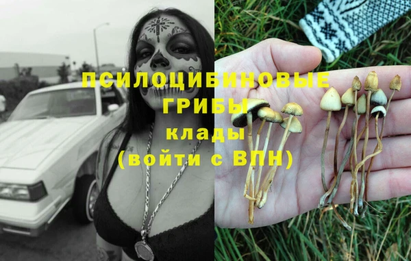 гидра Абинск