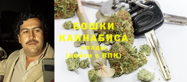 ПСИЛОЦИБИНОВЫЕ ГРИБЫ Нея
